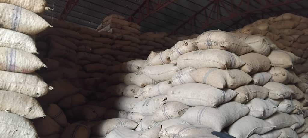 whatsapp image 2025 10 24 at 13.29.24