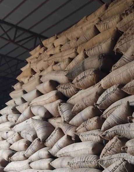 whatsapp image 2025 10 24 at 13.29.25